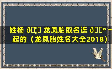 姓杨 🦅 龙凤胎取名连 🌺 一起的（龙凤胎姓名大全2018）